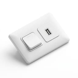 Basic White Fybros USB Charger Switch