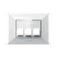 White silver regular