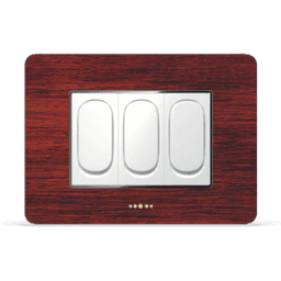 Teakwood silver G-Star Plate