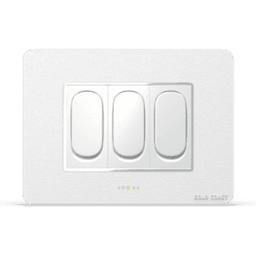 White silver G-Star Plate