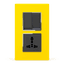 L-Evo yellow silver front